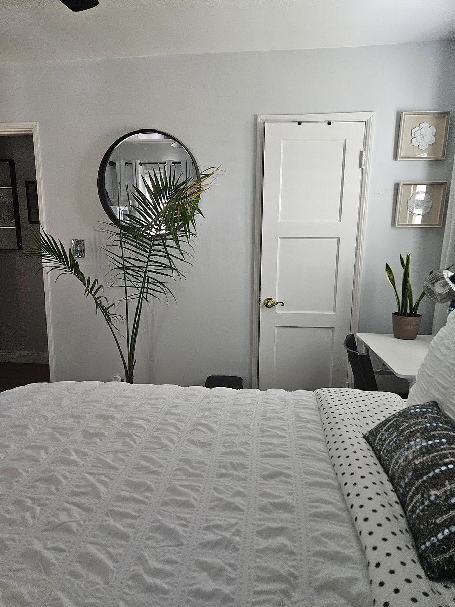 Furnished Finder property 358310_1 photo 15