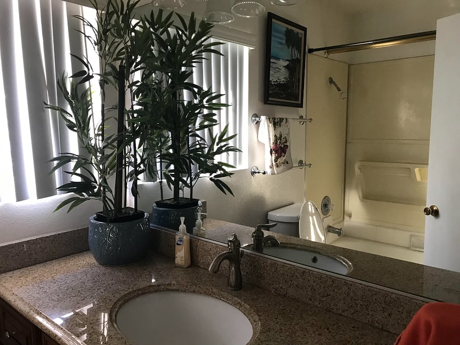 Furnished Finder property 358389_1 photo 3