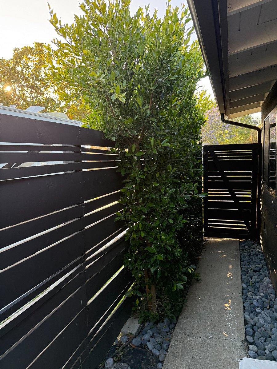 privet walk up, two gates 