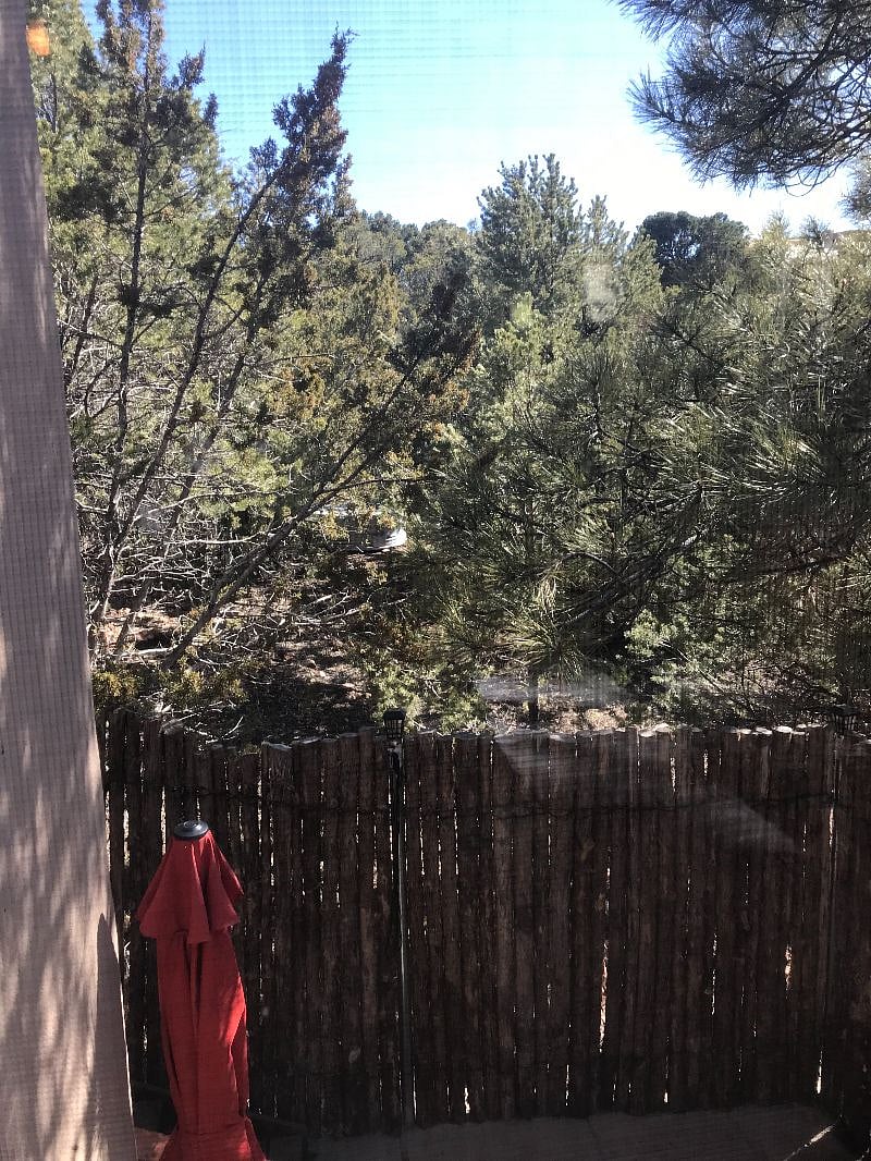 outside umbrella