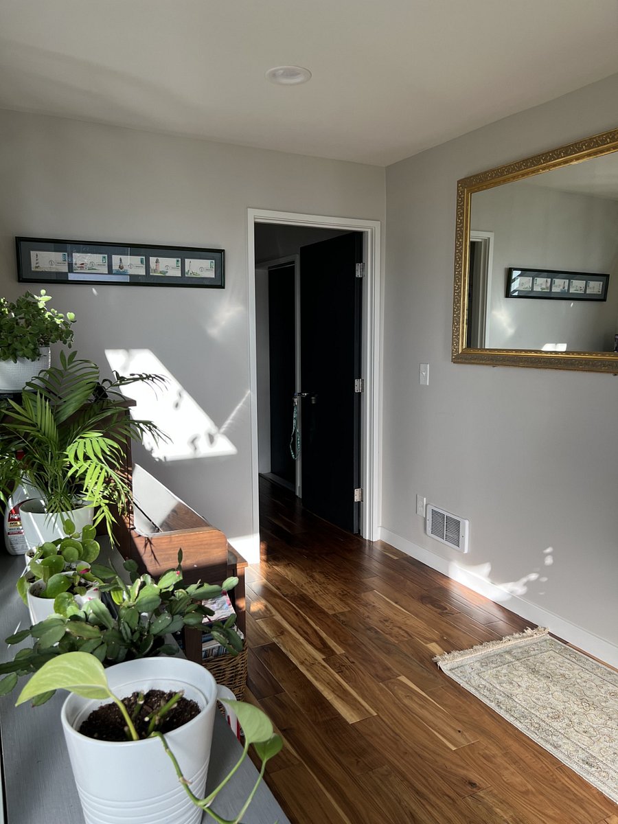 Furnished Finder property 358599_1 photo 17