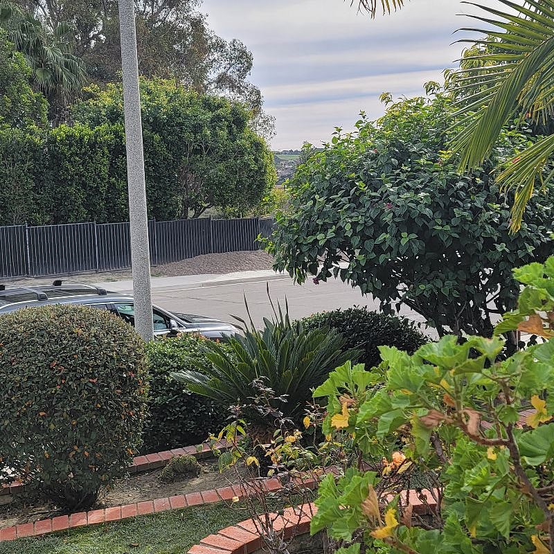 Ample street parking