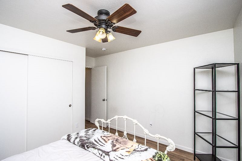 Furnished Finder property 358663_1 photo 13