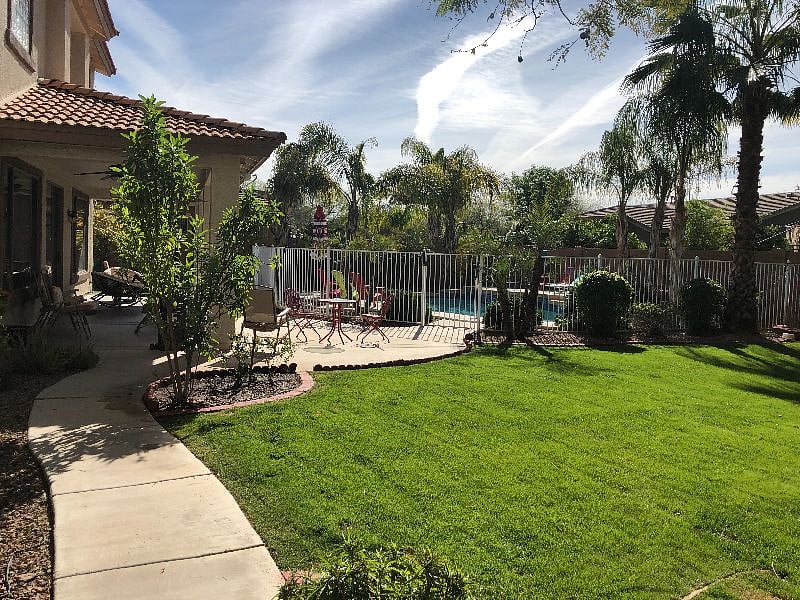 Backyard with Pool
