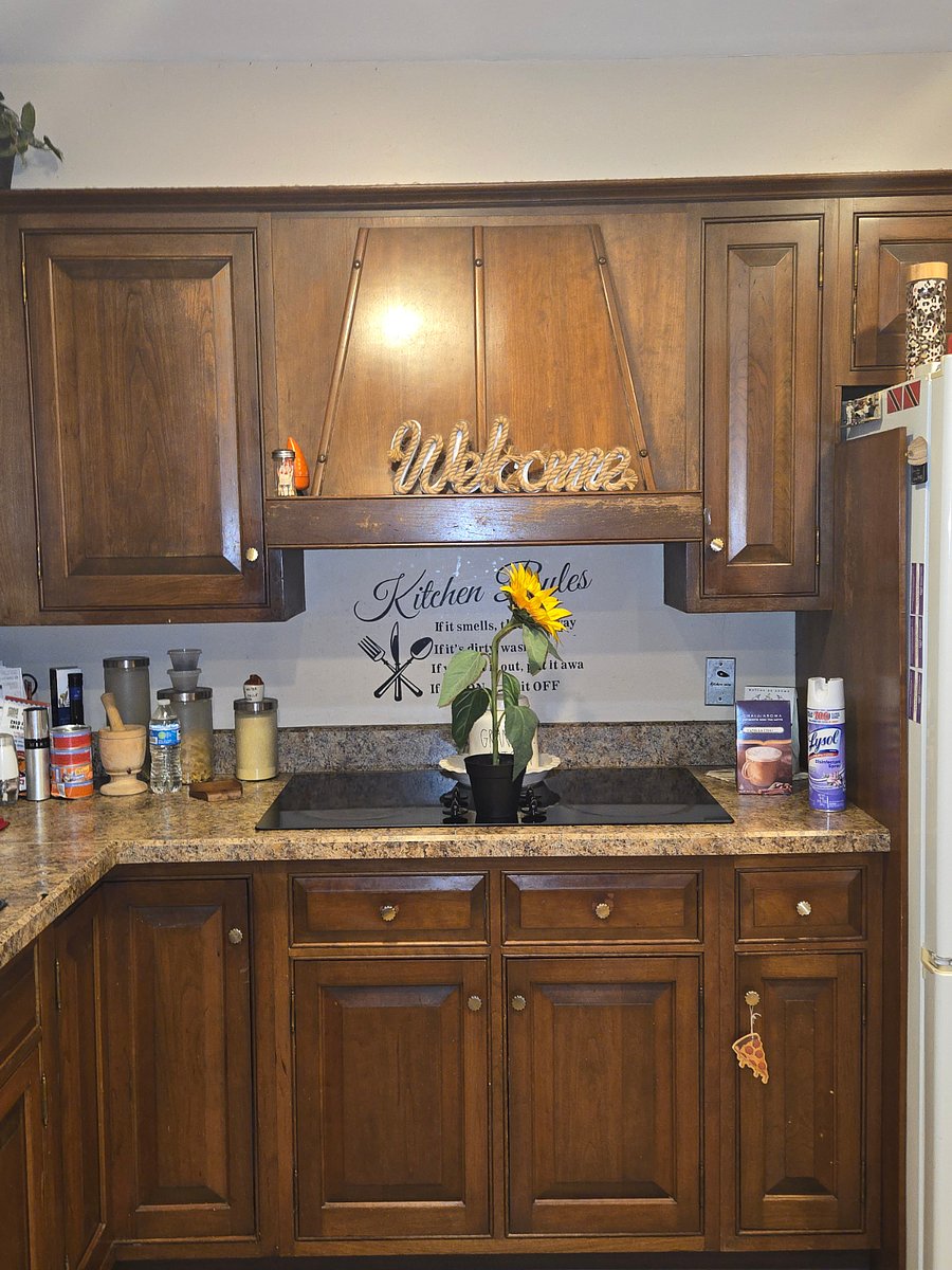 Furnished Finder property 358810_1 photo 12