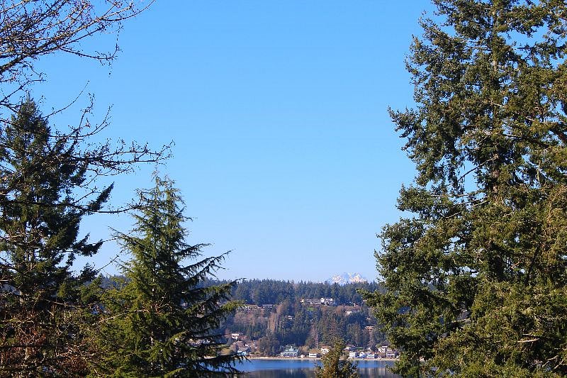 Tip of the Snow Capped Olympic Mountains
