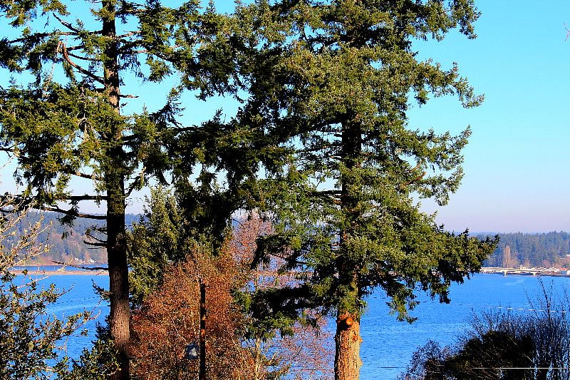 Henderson Bay & Purdy Spit
