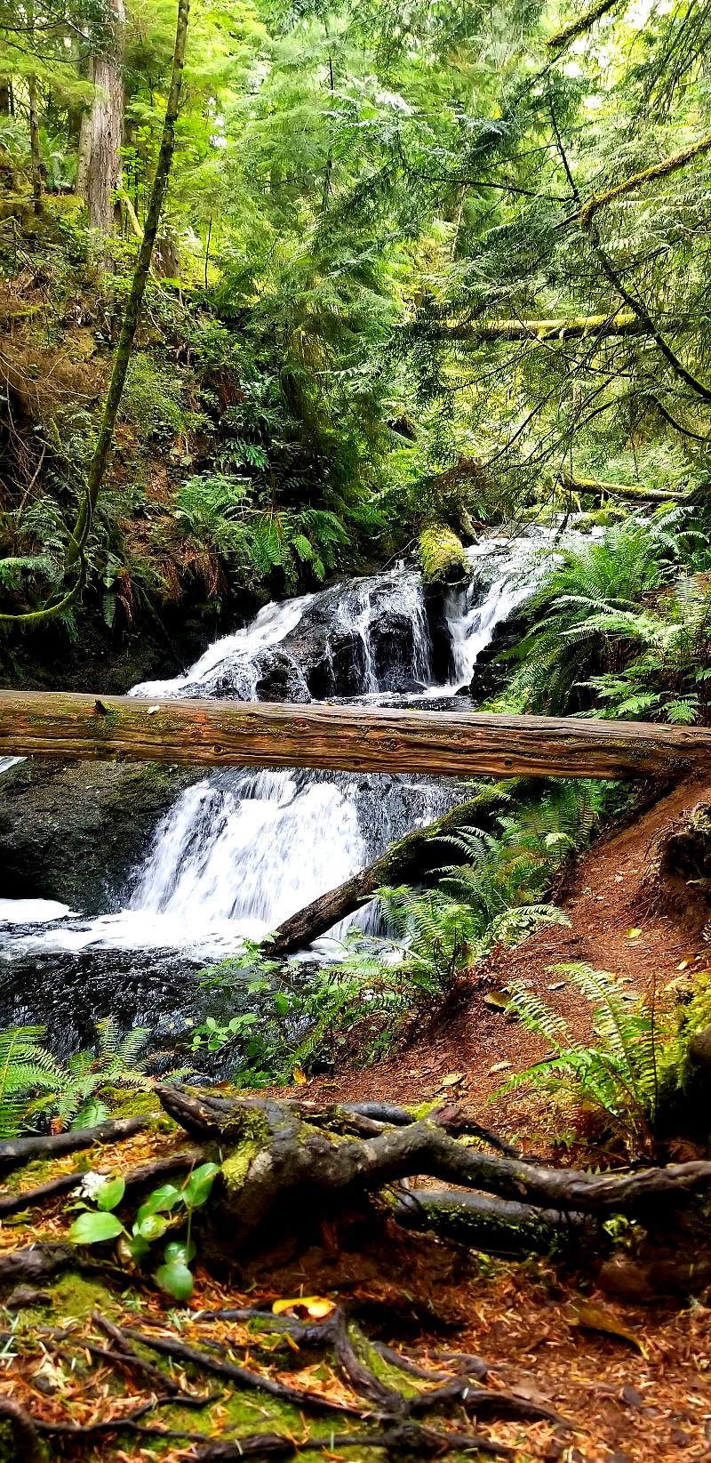Nature Recharge - Epic Hiking