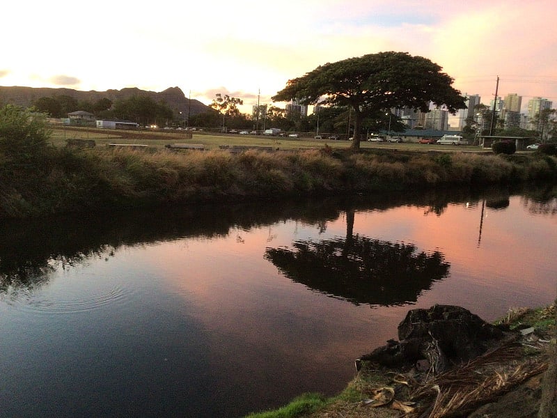 Beautiful colors. View from the yard.