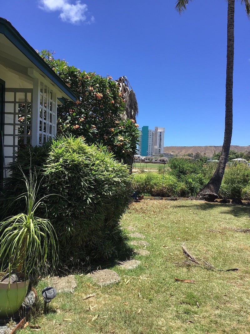 View of side entrance . And view from the side yard. And I have removed the bamboo since this photo
