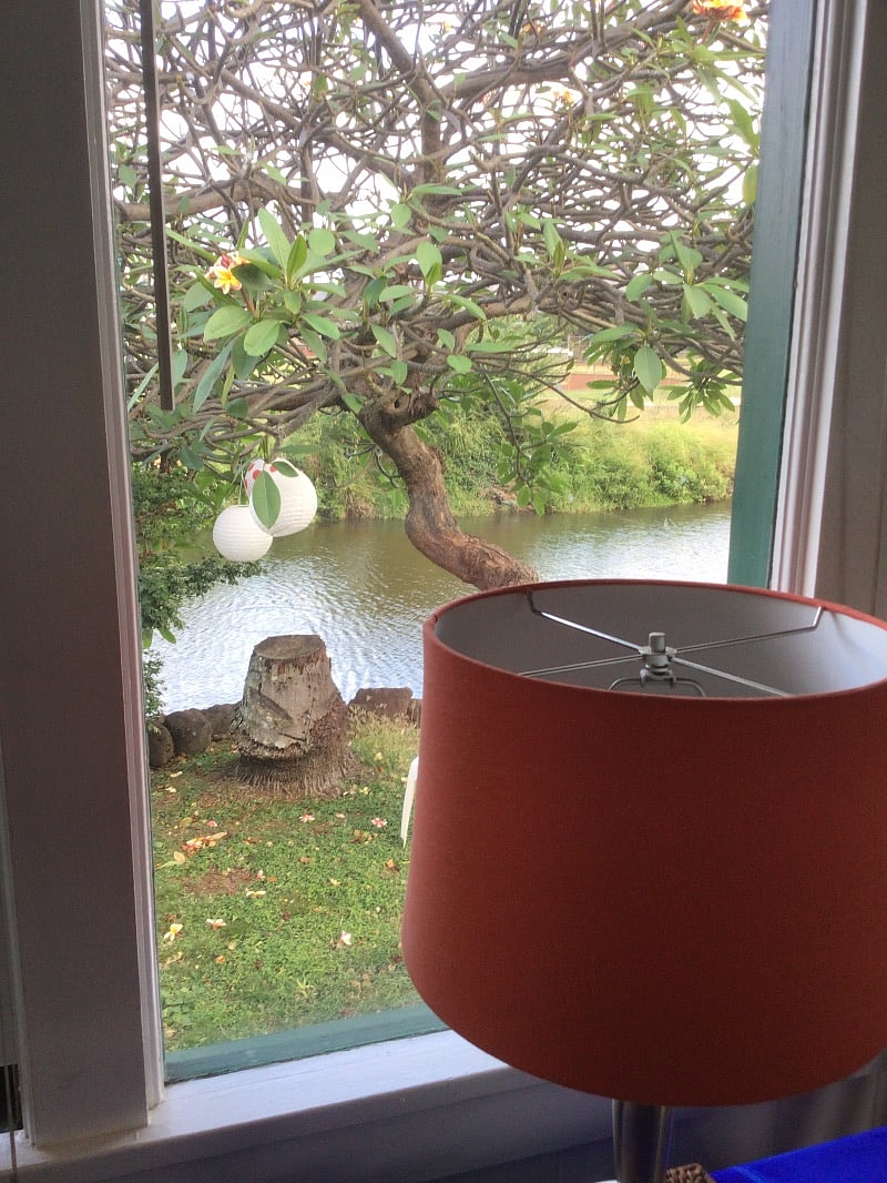 Looking thru the living room towards the stream