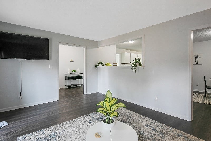 Furnished Finder property 358988_1 photo 13