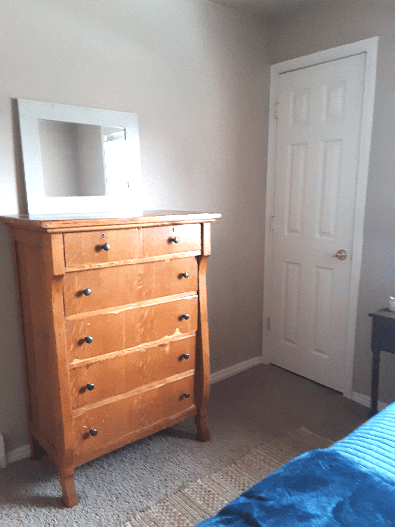 Dresser and Walk in in Closet in both bedrooms.