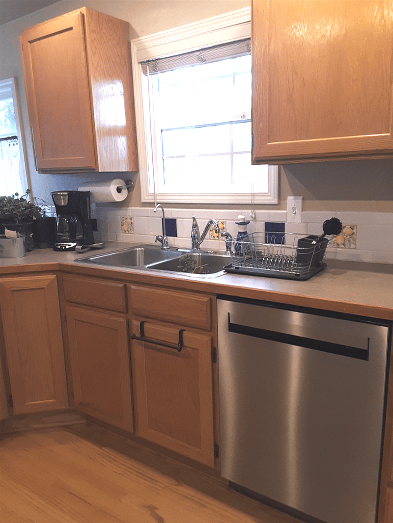 Dishwasher, Reverse Osmosis water filter and Drain board.