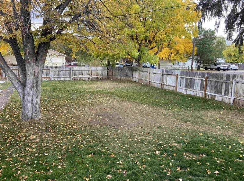 Fenced Back Yard
