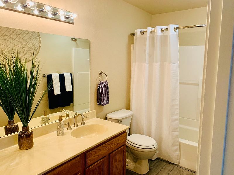 Furnished Finder property 359086_1 photo 5