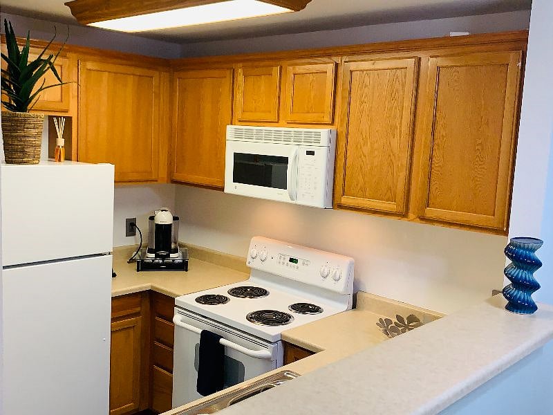 Furnished Finder property 359086_1 photo 4