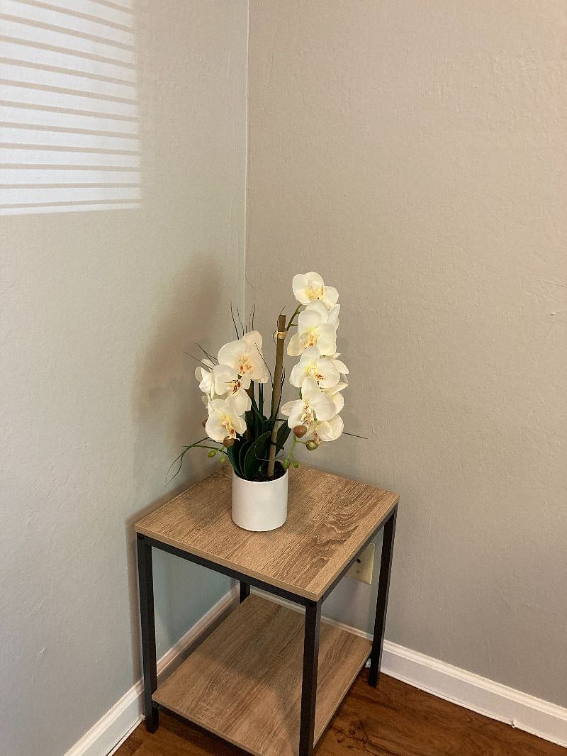 Furnished Finder property 359171_2 photo 21