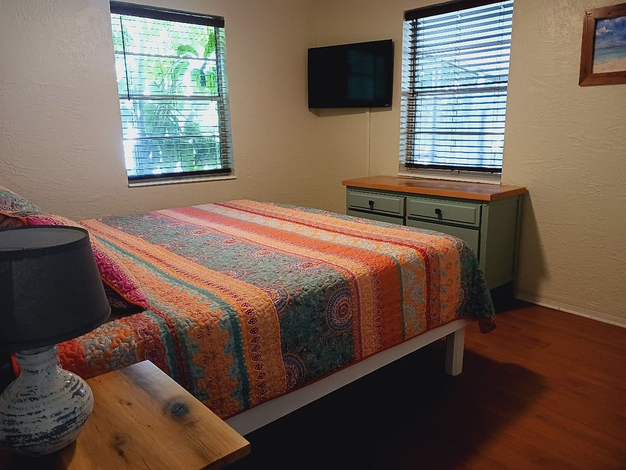 King bed w/swivel TV 