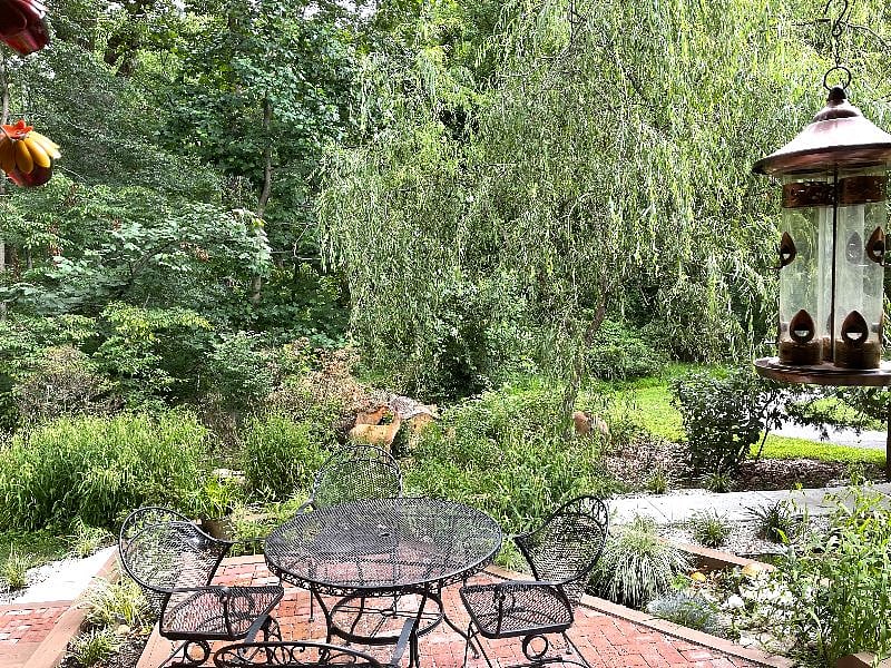 Furnished Finder property 359391_1 photo 49