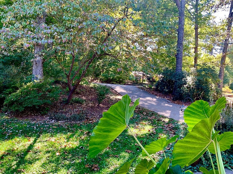 Furnished Finder property 359588_1 photo 7