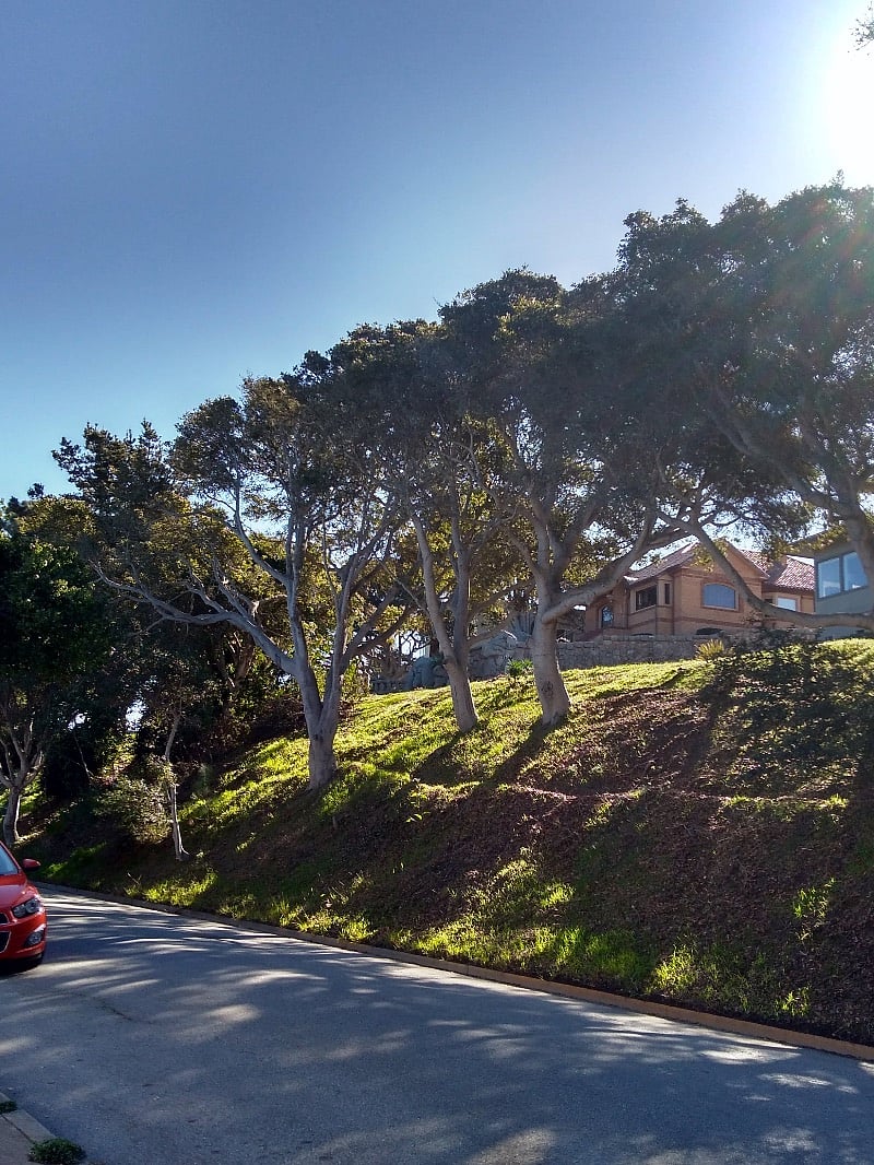 The view towards Lighthouse Ave.