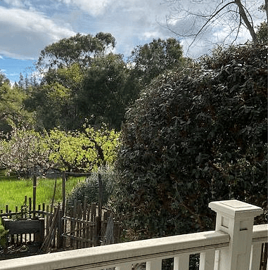 View from private deck
