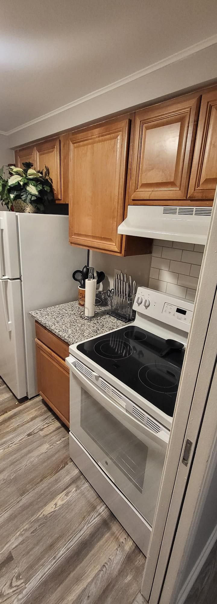 Furnished Finder property 360184_1 photo 9