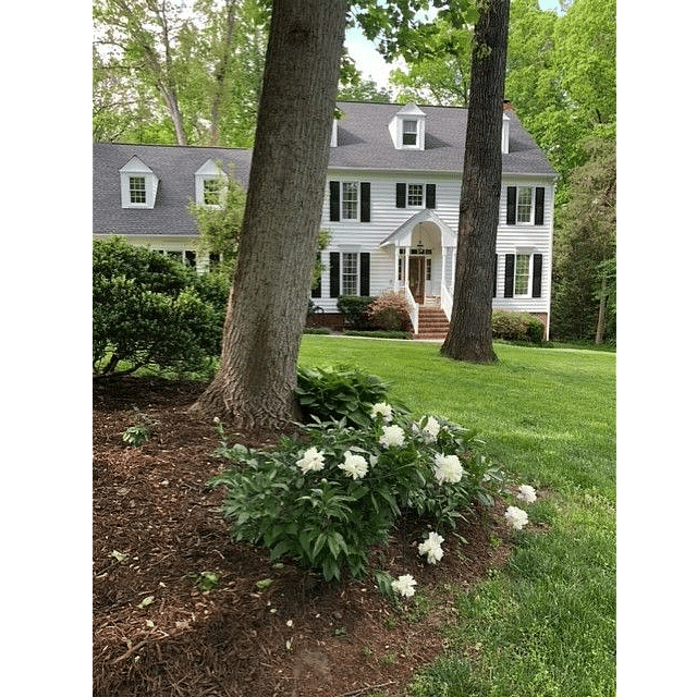 Furnished Finder property 360273_2 photo 23