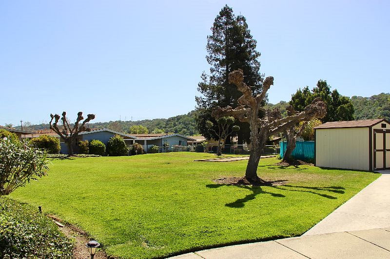 Common lawn behind office/rec room. BBQ pit on left; bocce ball court on right