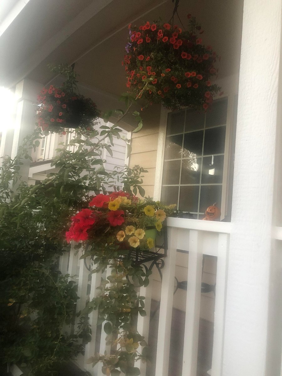 Furnished Finder property 360417_1 photo 25