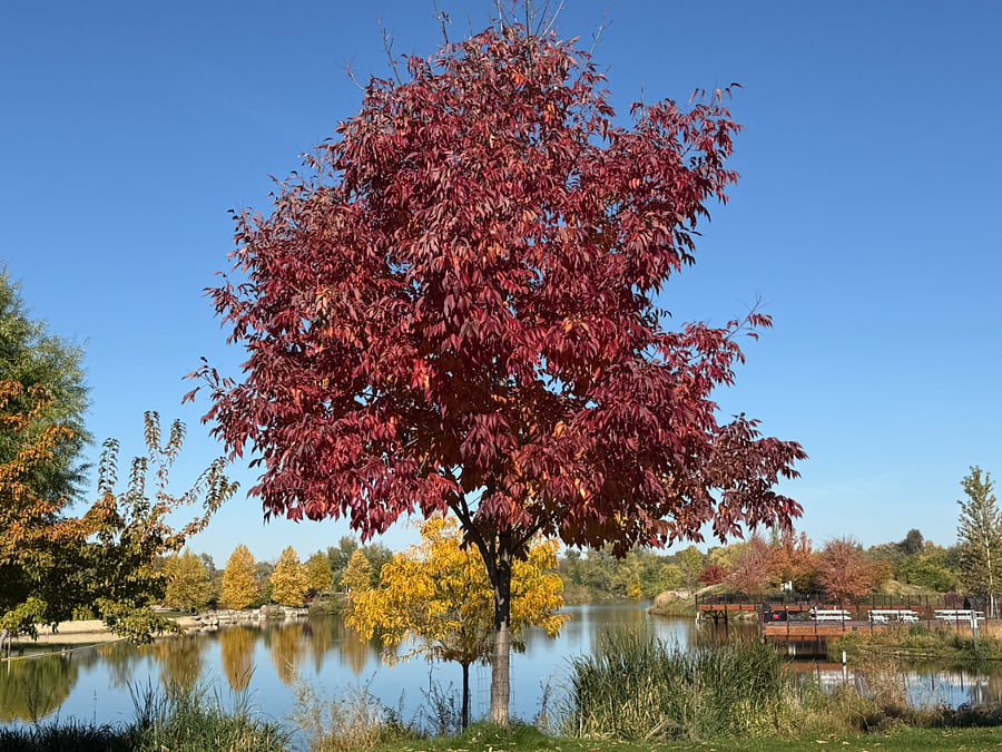 Another beautiful Whitewater Park view. There are multiple large ponds to choose to enjoy. 