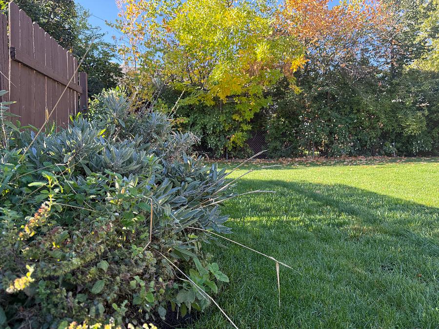 The seasonal delights of the garden await every guest. 