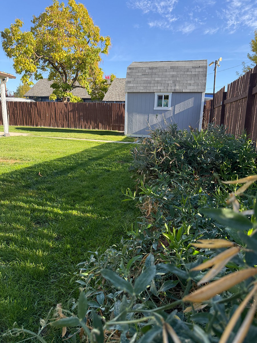 Pets love this large and secure yard space. 