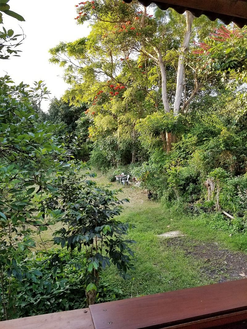 Parking area for the yurt