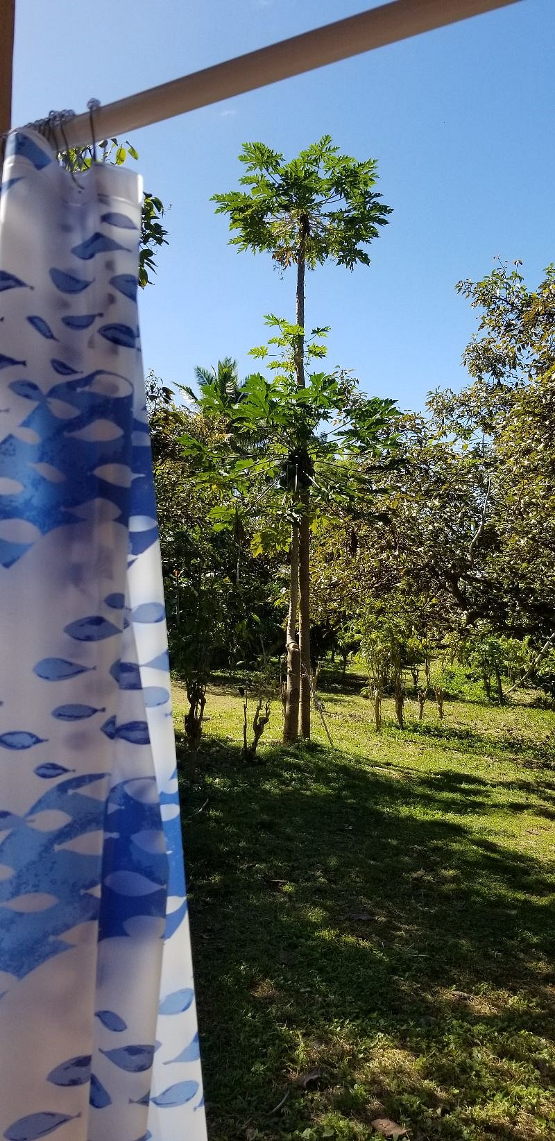 View from the outdoor shower in the glamp-site