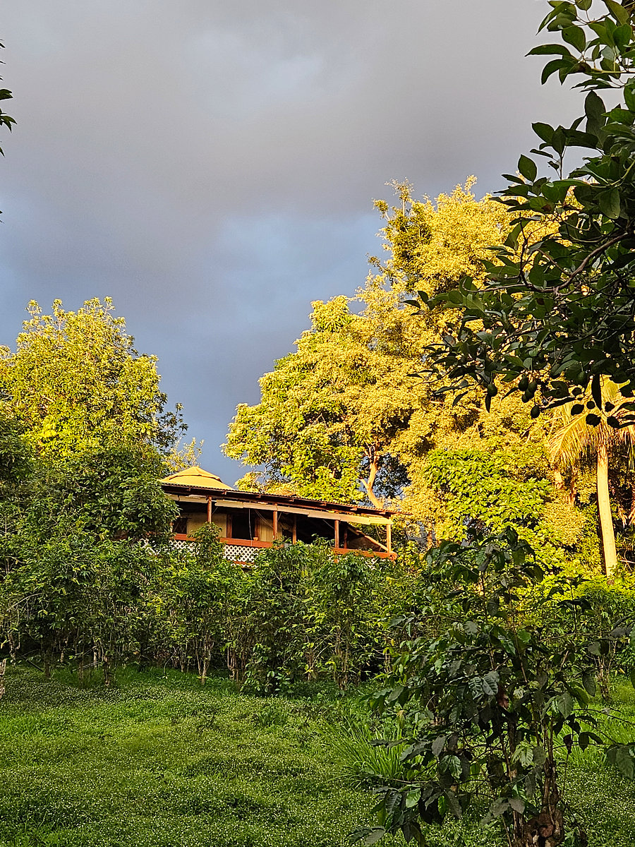 The Exterior of the Yurt