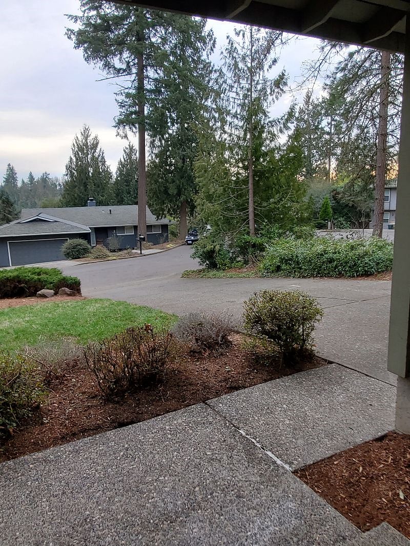 Furnished Finder property 360626_1 photo 21