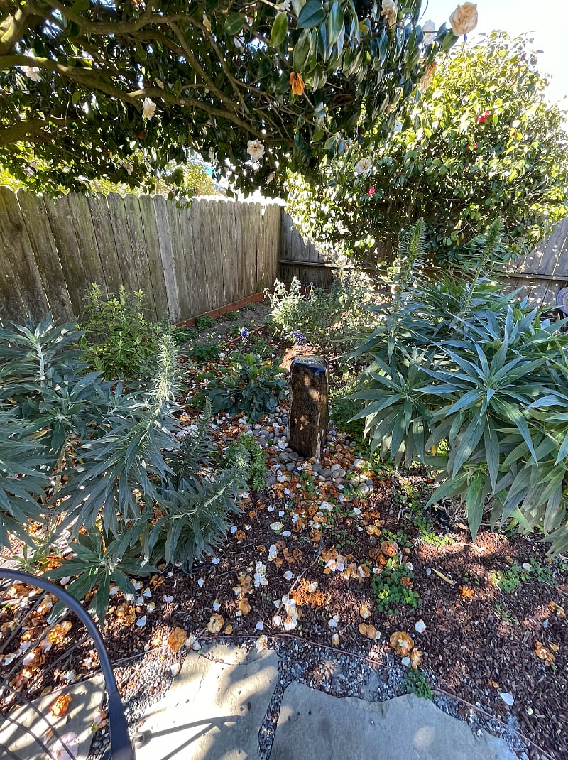Furnished Finder property 360671_1 photo 17