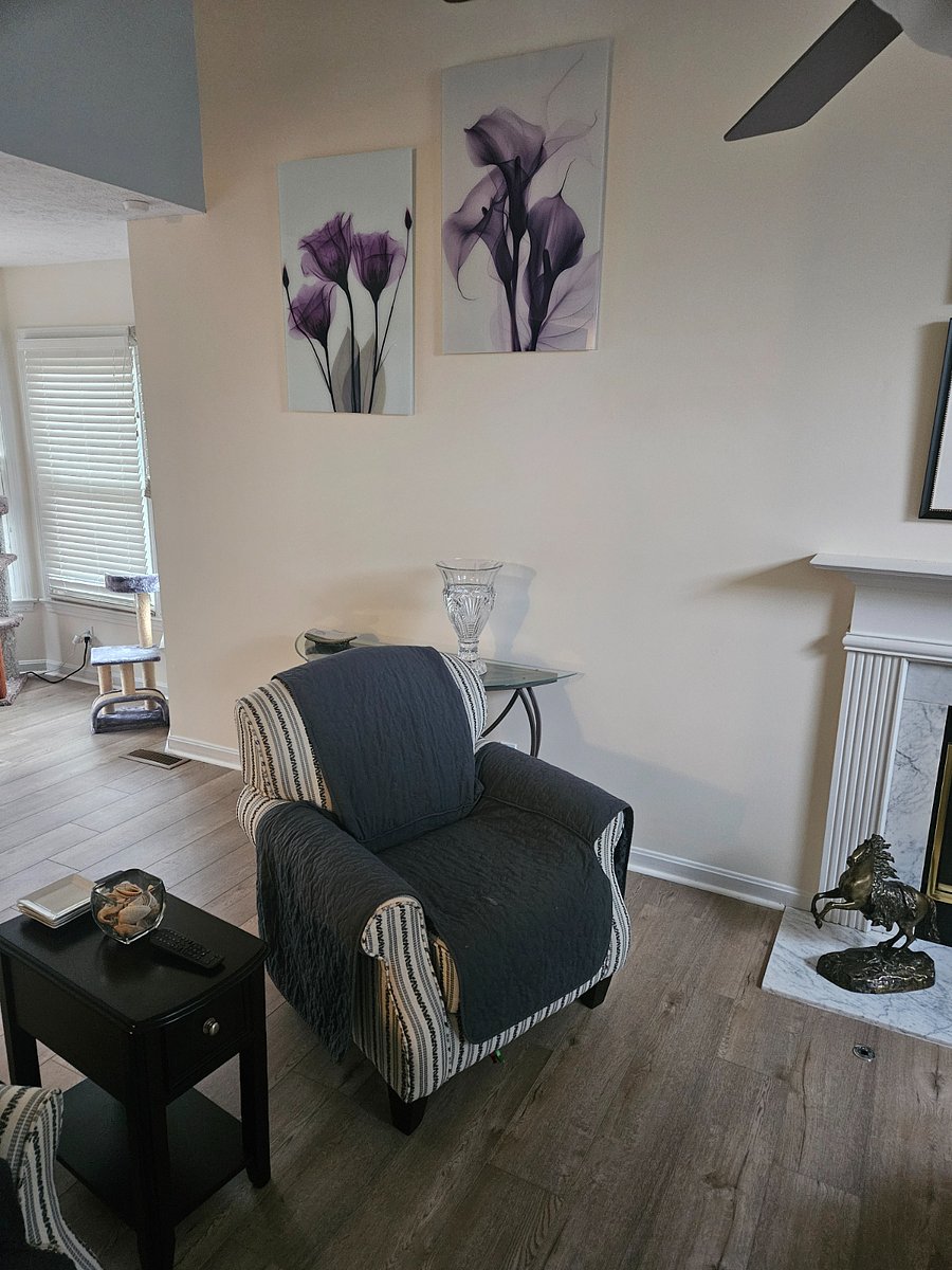 Furnished Finder property 360681_1 photo 16