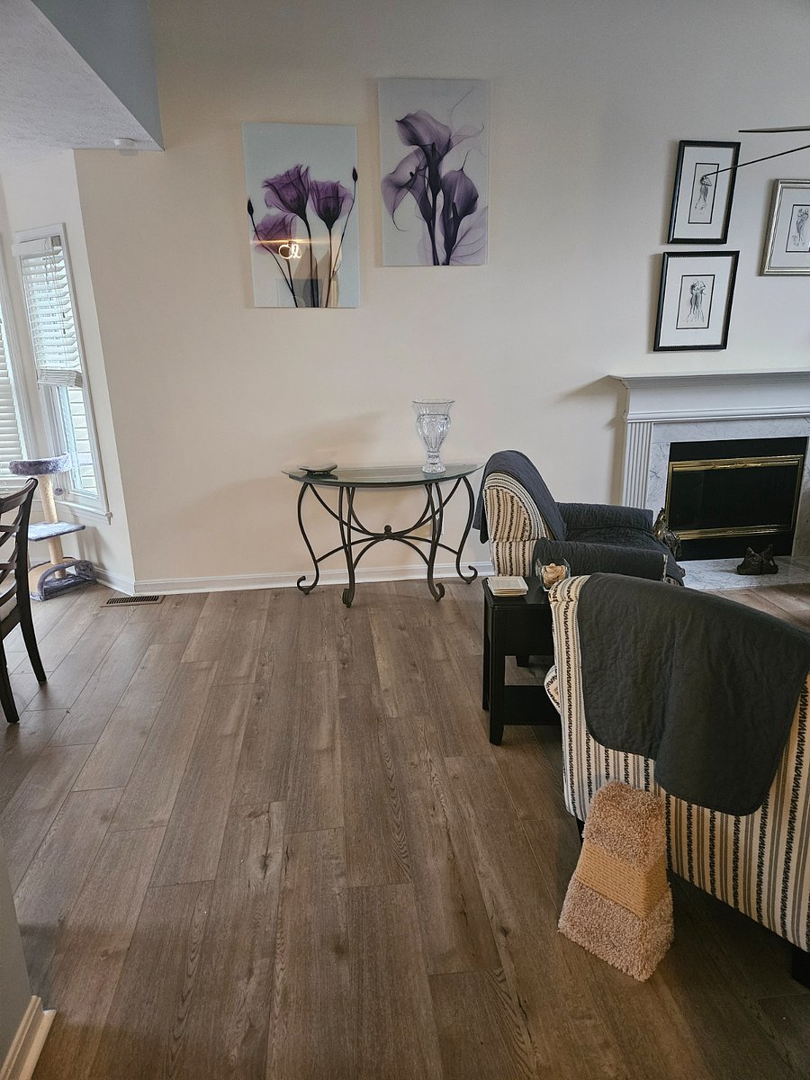 Furnished Finder property 360681_1 photo 17