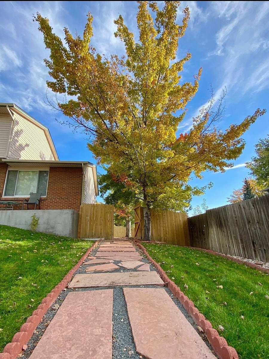 Furnished Finder property 360694_1 photo 17