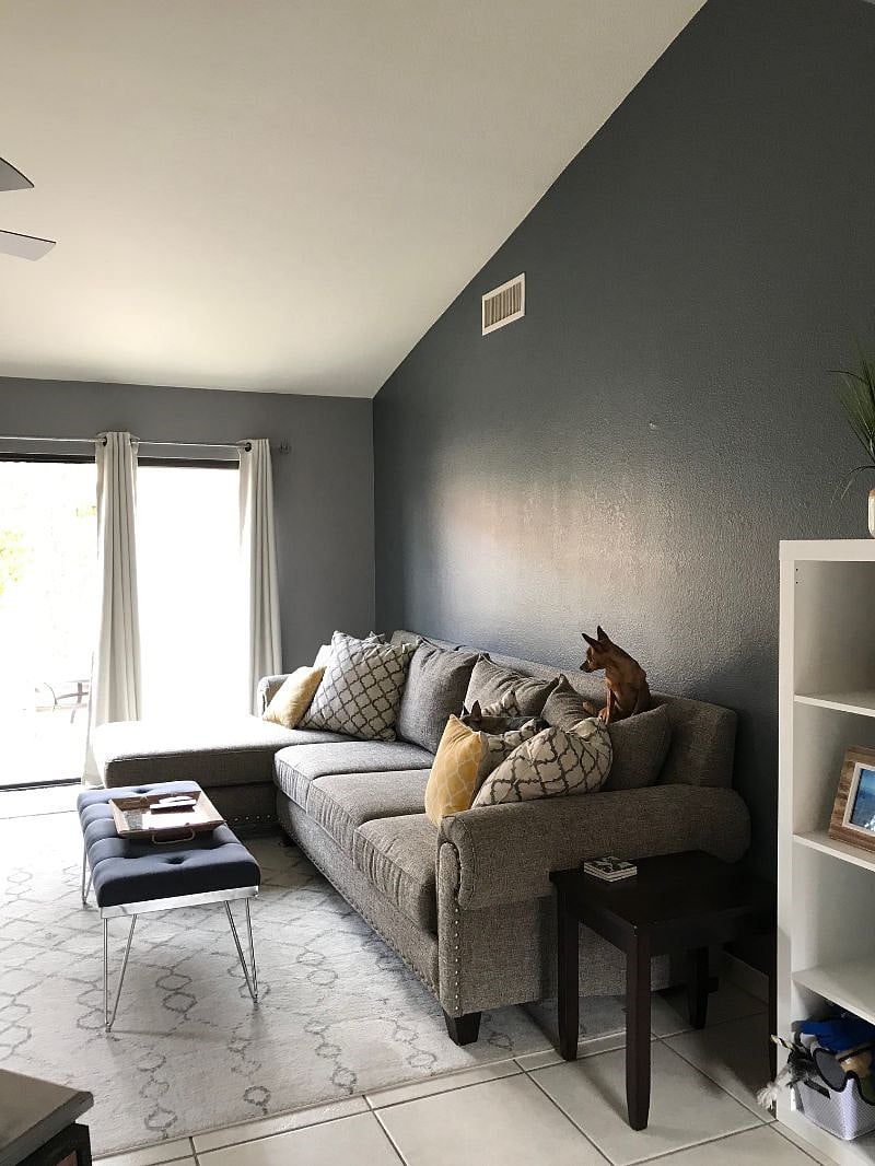Living room - dog not included :)