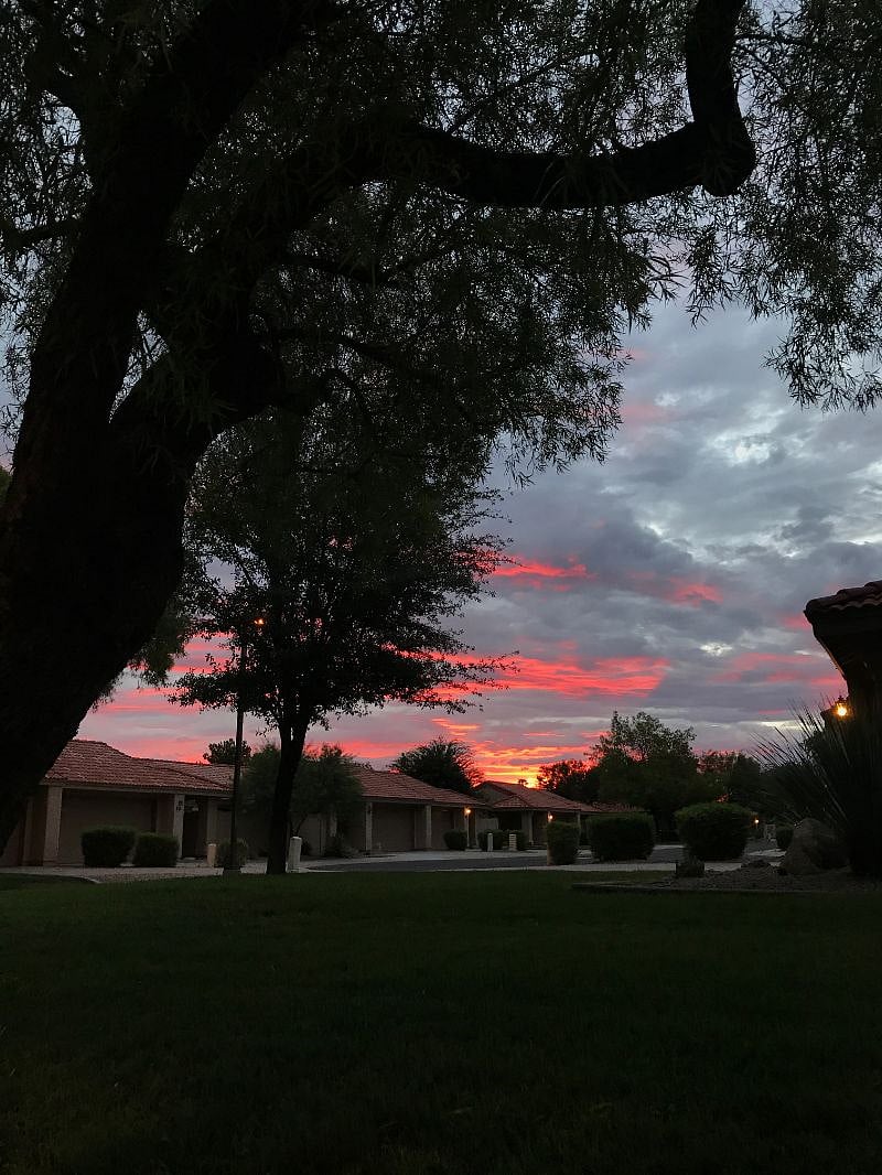 View from the neighborhood