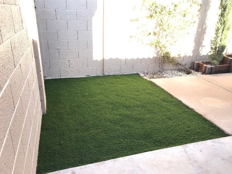 Artificial grass in backyard