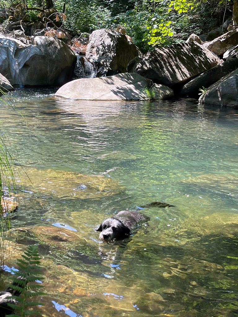 Year-Round Deer Creek, a 15-minute walk down from cabin