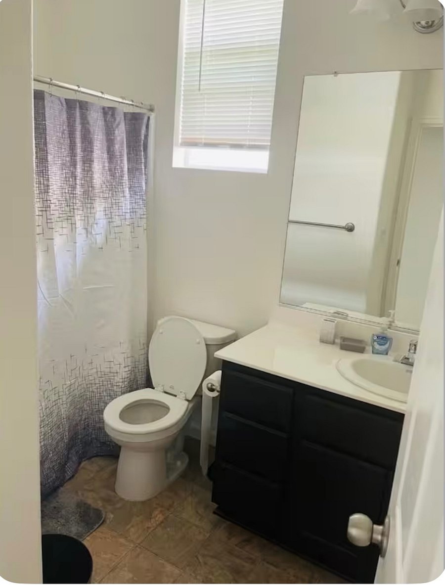 Furnished Finder property 361133_2 photo 6
