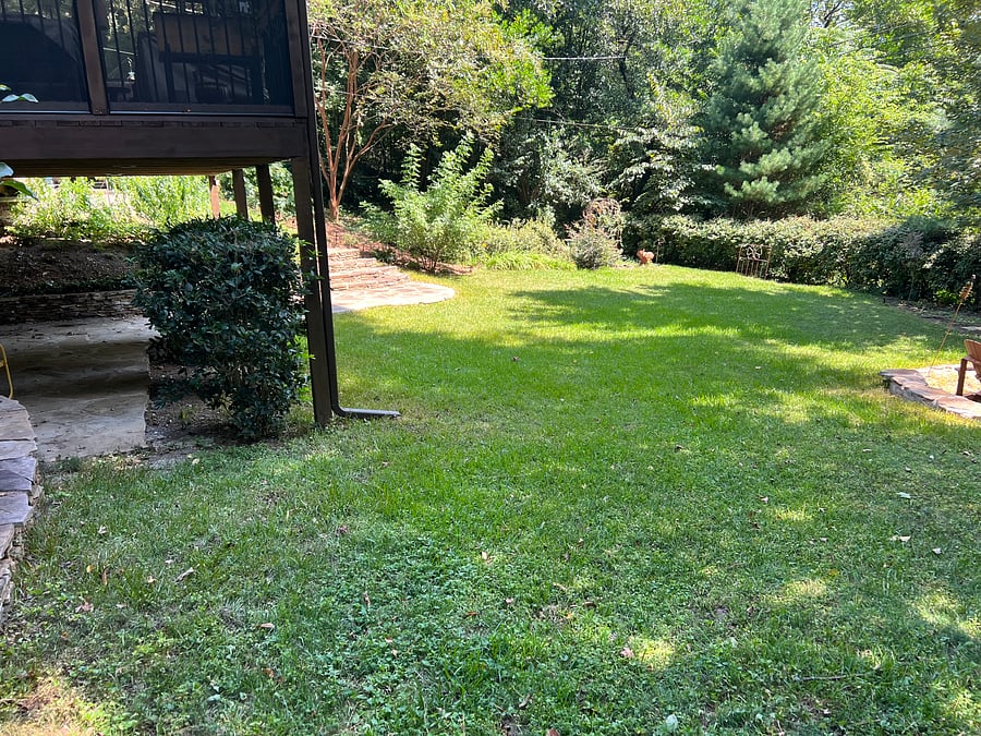 Furnished Finder property 361187_1 photo 3