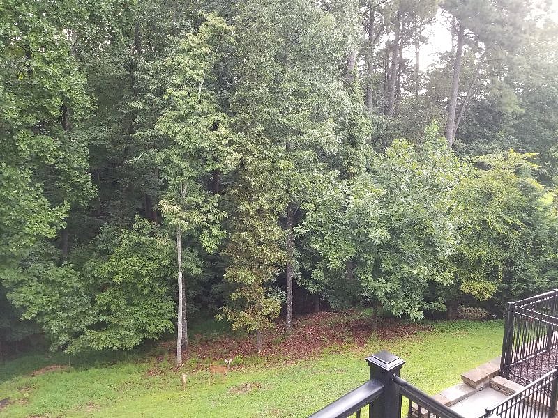 Furnished Finder property 361263_1 photo 47
