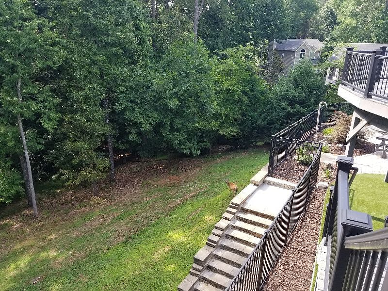 Furnished Finder property 361263_1 photo 48